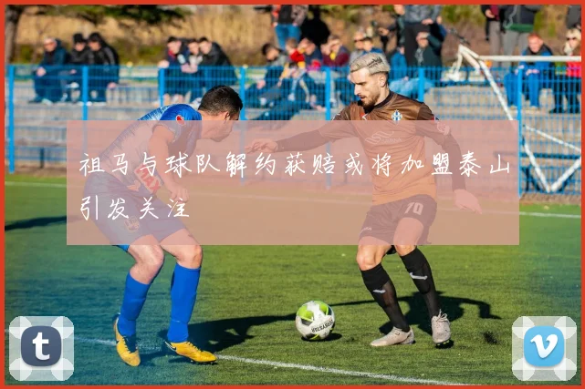 祖马与球队解约获赔或将加盟泰山引发关注
