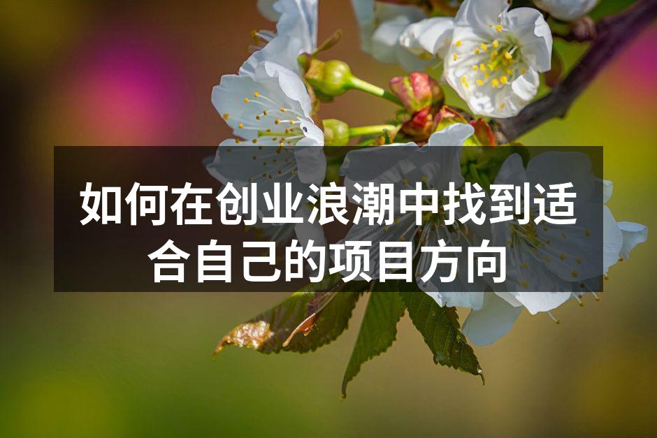 如何在创业浪潮中找到适合自己的项目方向
