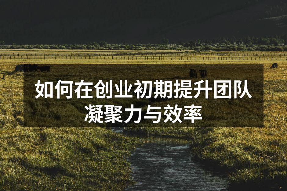 如何在创业初期提升团队凝聚力与效率